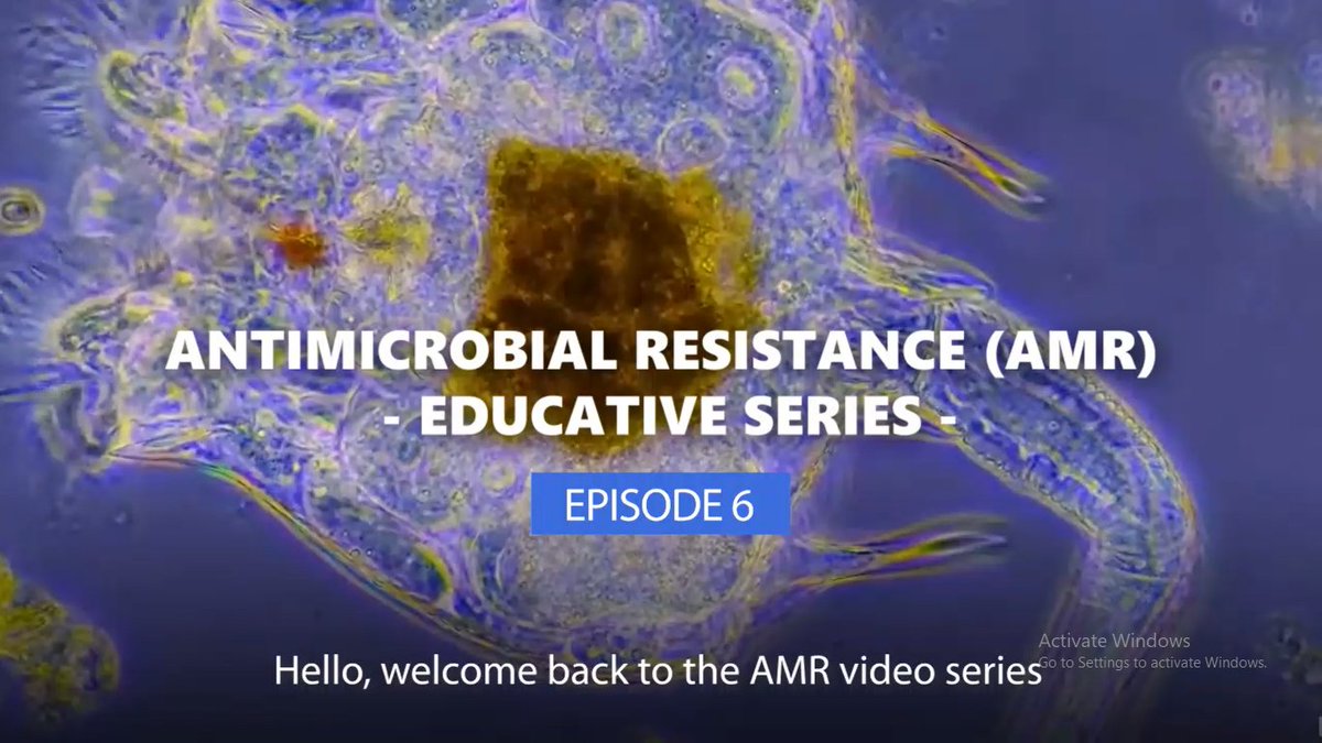beat_the_bugs's tweet photo. What efforts have been taken to address #AntimicrobialResistance? Are they enough?

In #episode6 of  #KnowSomethingAboutAMR series, we share about global efforts initiated to address #AMR, their progress, and why we need to DO MORE. 

Watch the video here:
https://t.co/bKQW3aZBky https://t.co/Rl1Xbx17I8