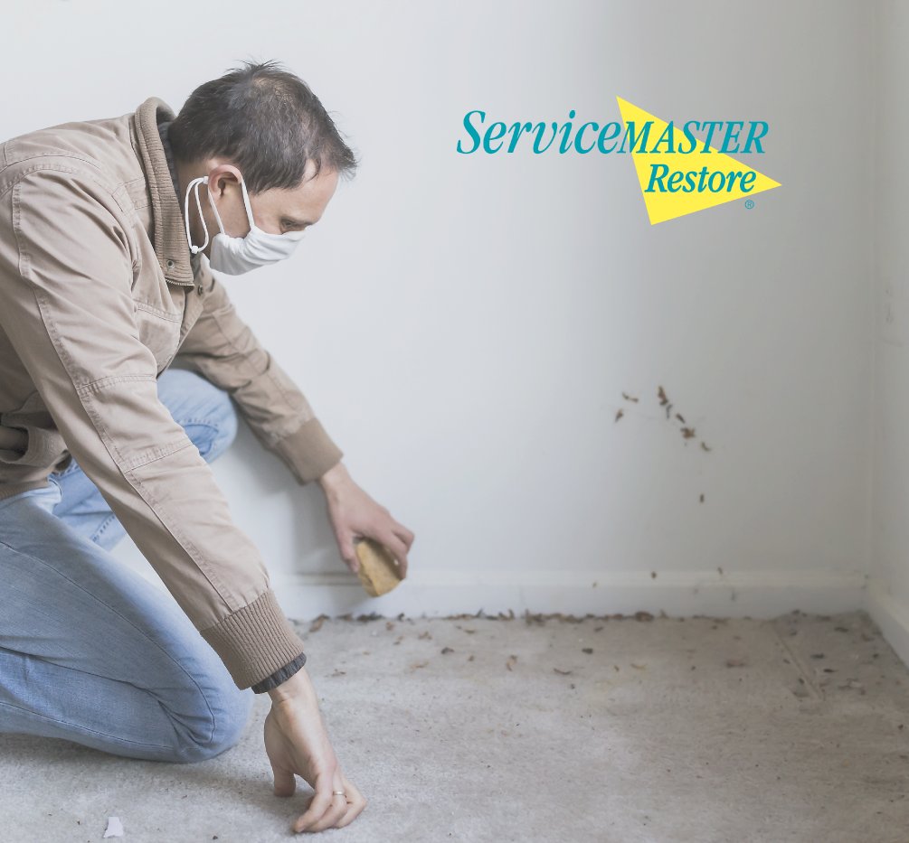 ServiceMstrSWMS tweet picture