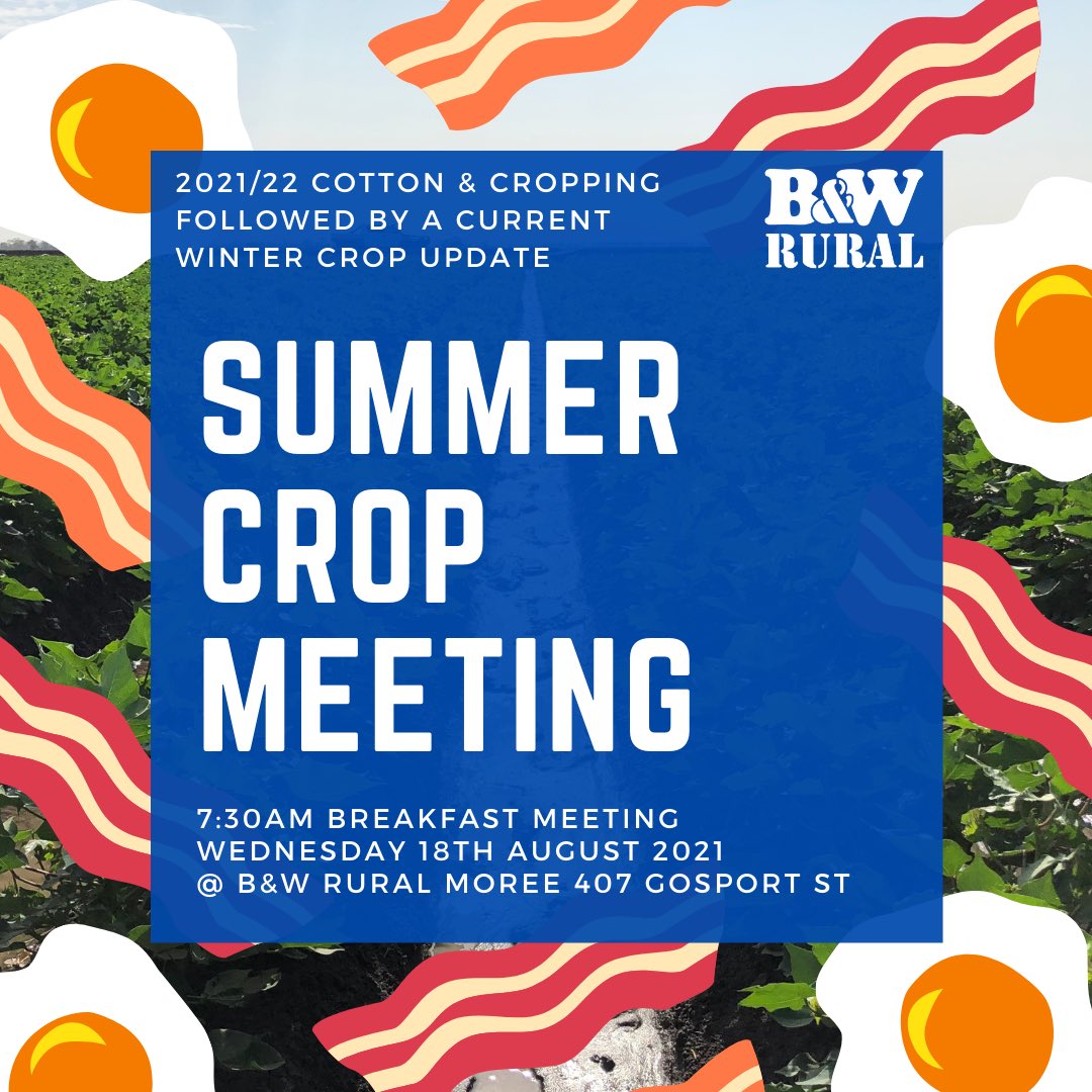 B&W Rural tweet media