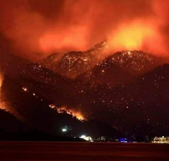 amineallouche01's tweet photo. اللهم كن لإخواننا عونا و ونصيرا إثر ما أصابهم من حرائق و إرحم موتانا من المدنيين و العسكريين و تقبلهم في الشهداء   و أحفظ جزائرنا  من كل سوء يا رب العرش العظيم. https://t.co/jmglwWt2QE