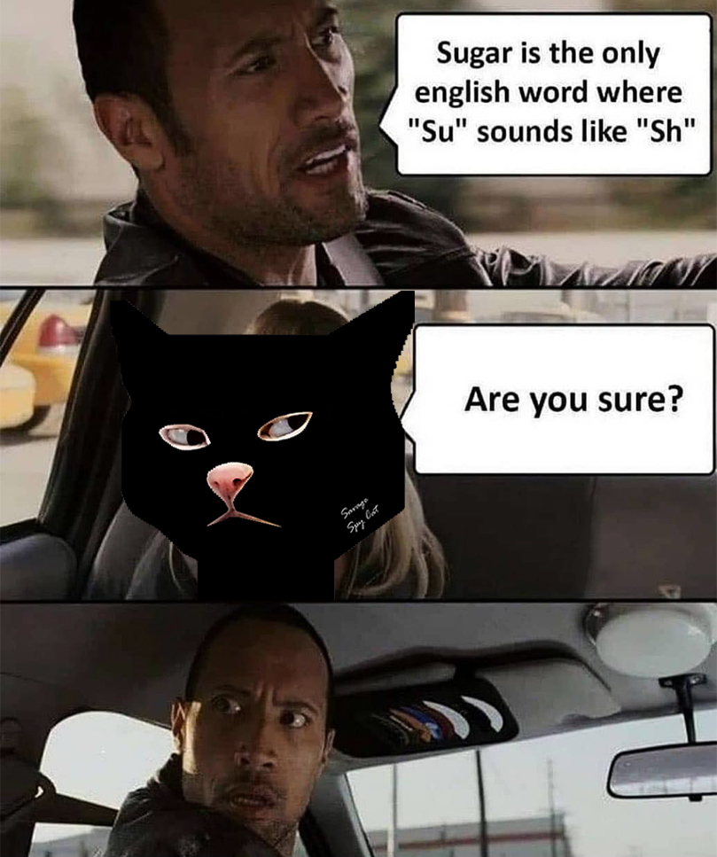 What NFTs tweet media