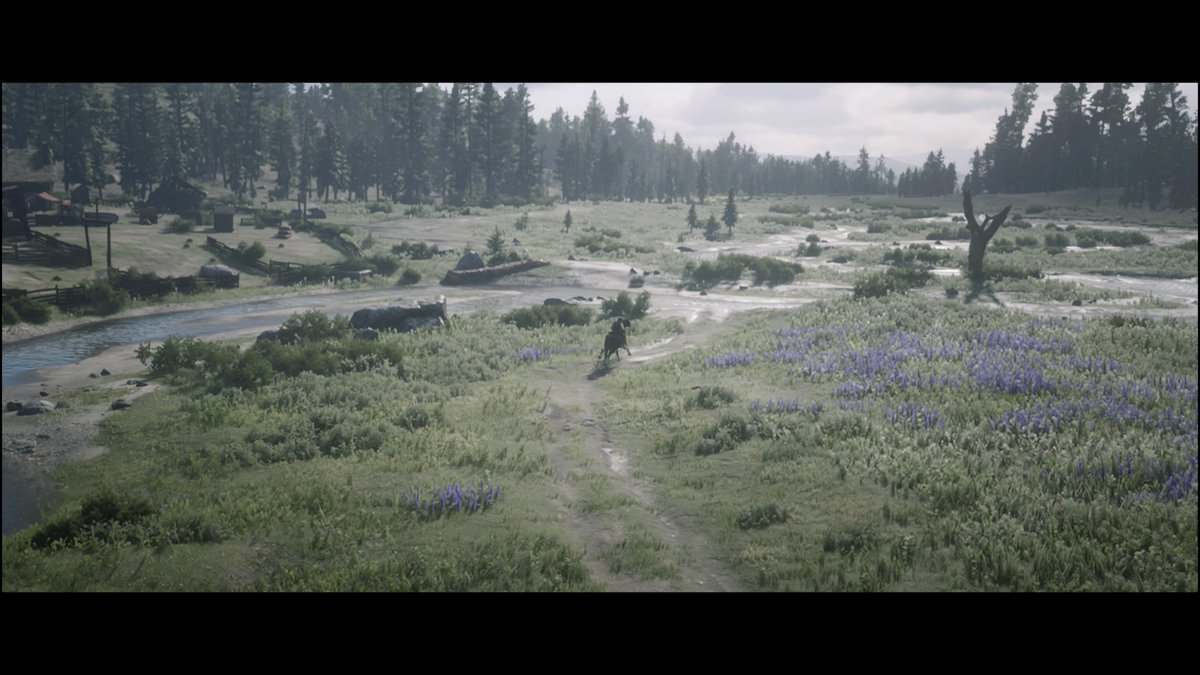 Stroth's tweet photo. #PS5Share, #RedDeadRedemption2 https://t.co/2bsvEm8Rp7