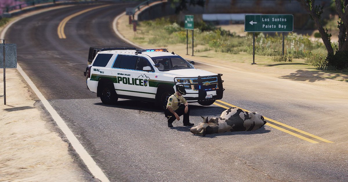 I guess they serve and protect everything/everyone

#NorthernRP #YourTrueEscape #FiveM #gtarp #gtaroleplay #fivemrp #gtasanandreas #blainecounty #SADPS #SVPD #LSPD