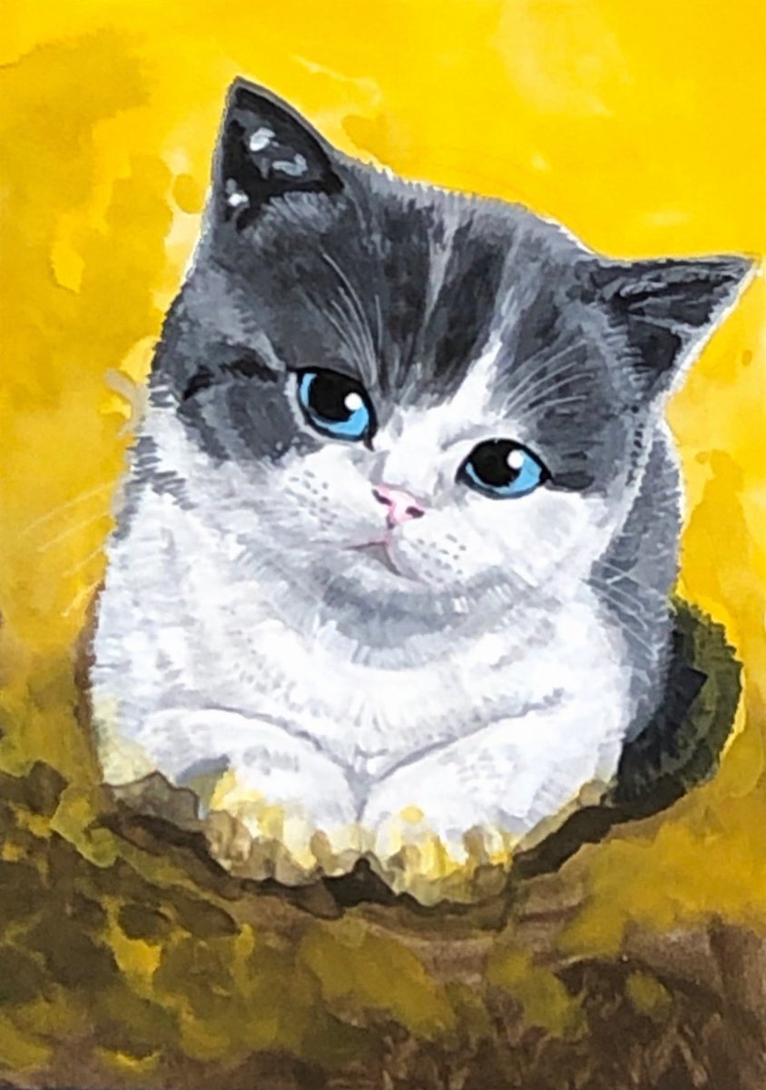 OniTatu99's tweet photo. 朝のニャンコ詰め合わせ❤️🐈‍⬛
おはようございます❤️
今日も、もふもふニャンコさんをお楽しみください♥️💙❤️🌸♥️🐈
#猫好きさんと繋がりたい https://t.co/wMPs2oplhO