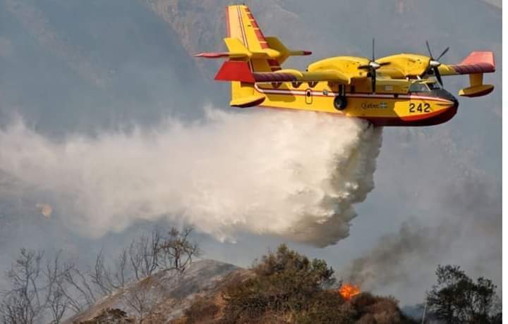 Fmetaoui's tweet image. L'#Algérie a besoin de se doter des Canadair CL 415. Des #bombardiers d'eau très efficaces contre les incendies de #forêts. Il peut transporter plus de 6000 litres d'eau mélangés à des retardants
