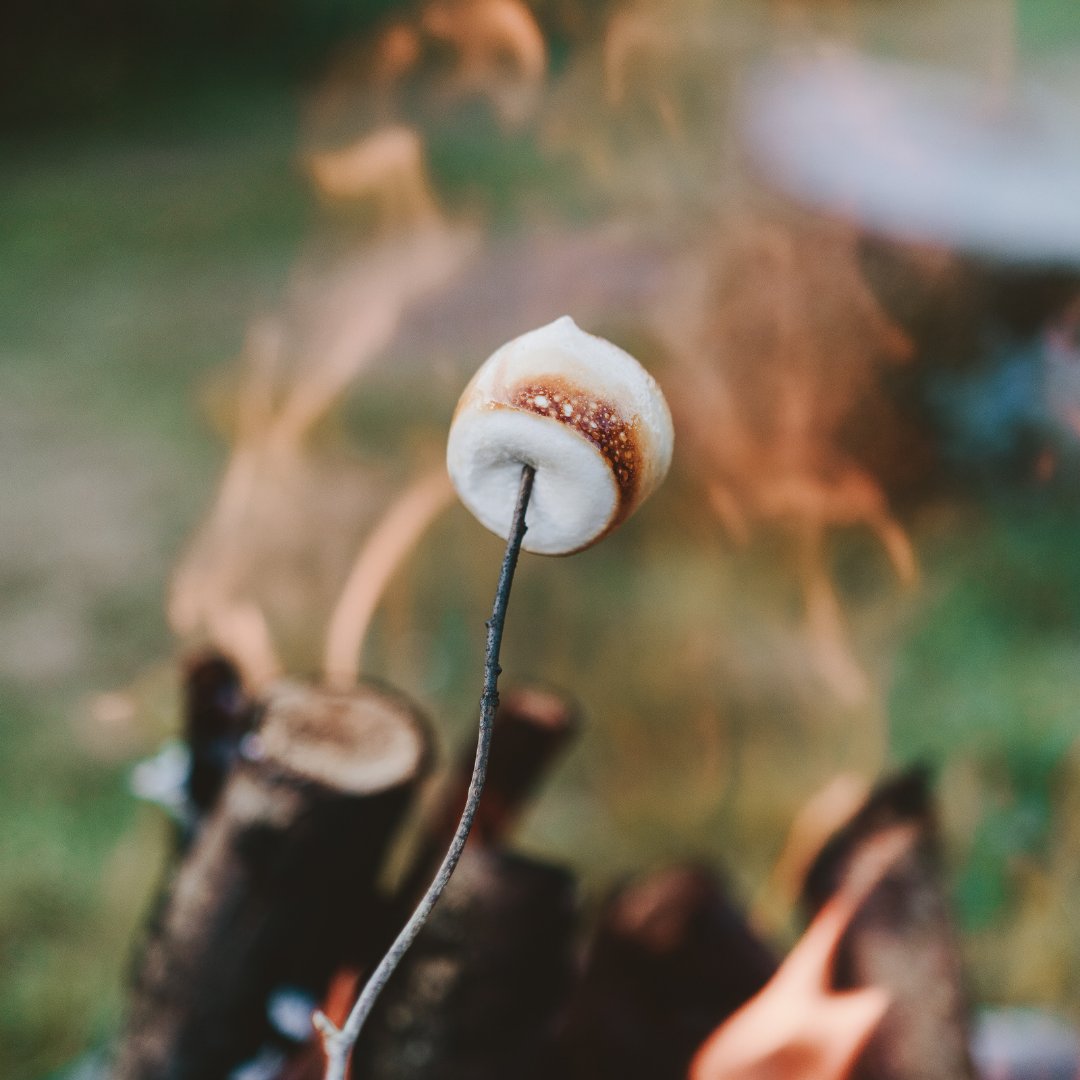 Today is national s'mores day! 🍫 Will you be enjoying this summer staple today?