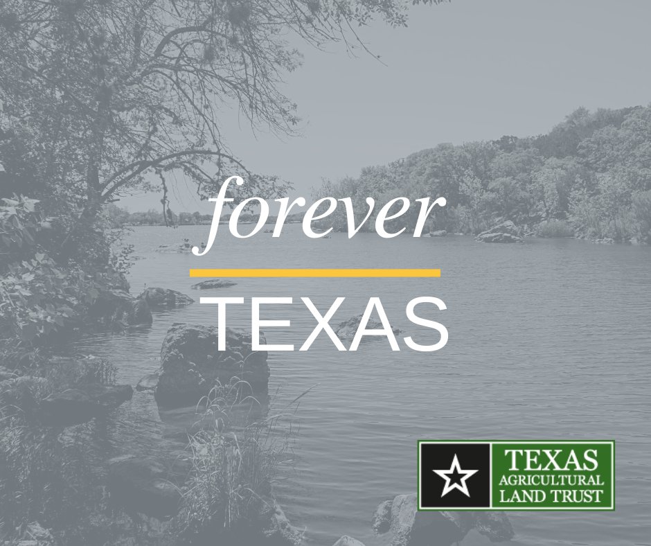 TXAgLandTrust's tweet photo. Stewardship requires stewards. Keeping productive rural lands in private hands and under private management is the best way to conserve Texas’ natural resources.
#Texasfarmers #TexasRanchers #ProtectTexas #ForeverTexas
#PrivateLands https://t.co/wNJ7lVogVD