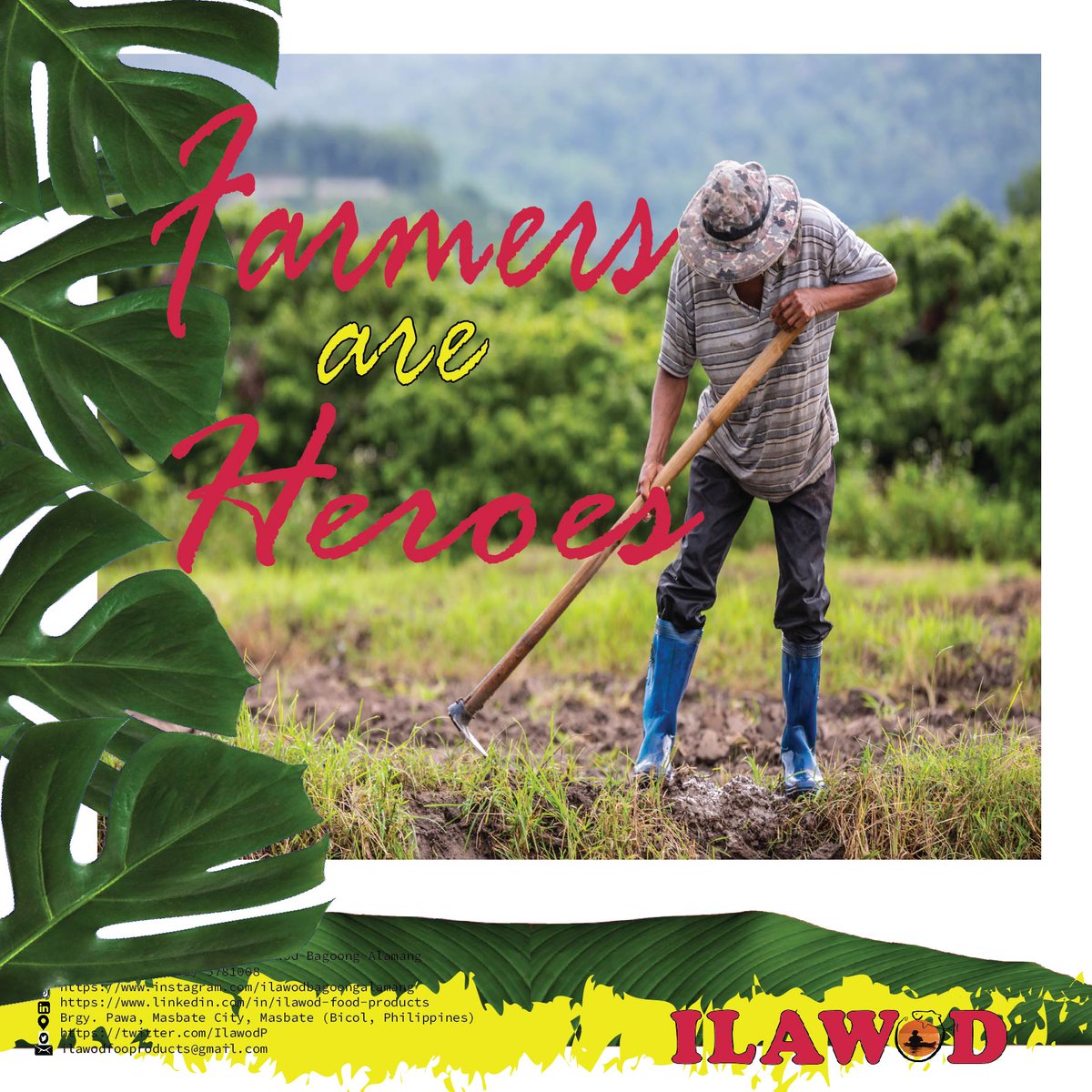IlawodP's tweet photo. Farmers 🌿are multitaskers.  they are satisfied  and fulfilled  every work they do provides food for families 👨‍👩‍👧‍👦 around the world 🌎

 Life and struggle of a farmer https://t.co/xO2nNmpg1s

#ilawodbagoongalamang #ilawod #bagoong #pinoyfood https://t.co/XHHC7UhAyb