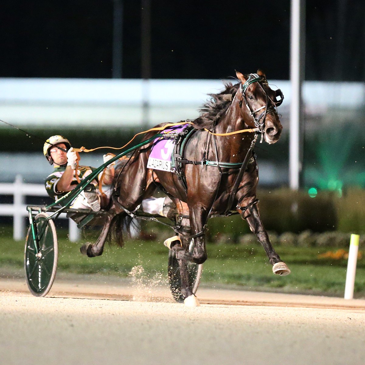 HoP_Racing's tweet photo. We are just THREE days out from #Patch28 presented by Brittany Farms!

Three years ago, it was supplemental entry Lazarus N who came fourth to win #Patch25 in his North American debut in 1:48:4 for Yannick Gingras &amp; Jimmy Takter! #PlayHP https://t.co/8Gkw9Y9njI