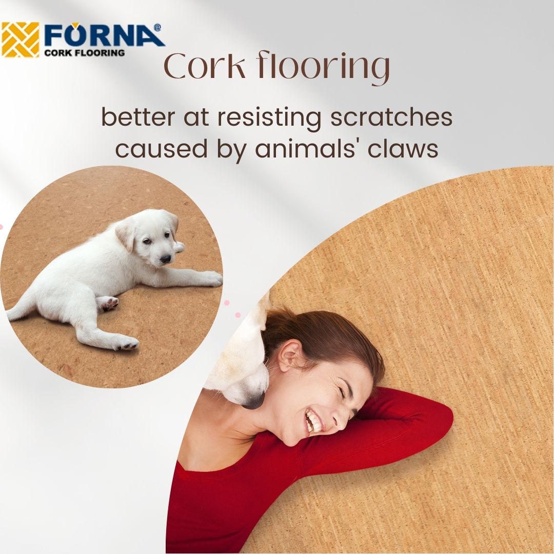 Cork Flooring Durability Pets Flooring Site cork-flooring-durability-pets-flooring-site