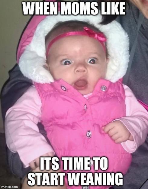 TwinningBlog's tweet image. I was going to title this post “How we did baby led weaning”, except that we didn’t actually DO baby led weaning. We did what worked for us. #parenting
twinningatmotherhood.com/getting-the-fo…