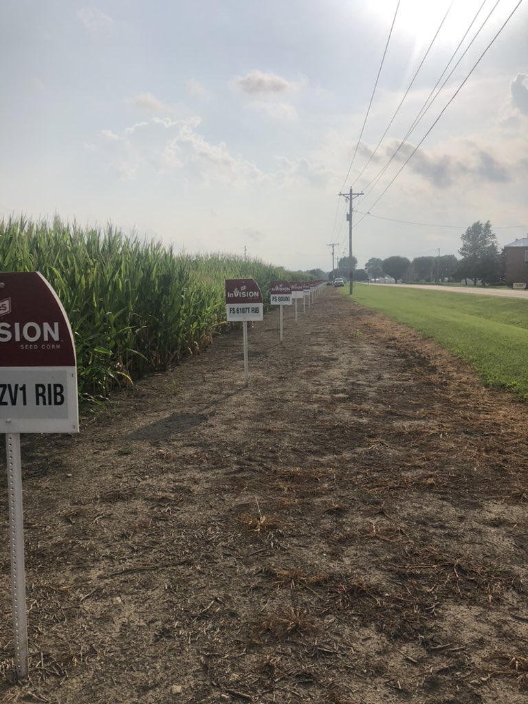 brad_gerten's tweet photo. Another day, another plotโฆ.or 3. @InVISION_HiSOY looking incredible in Bascom, OH and Cygnet, OH. #BinBusters https://t.co/Fv7OnrYe9T