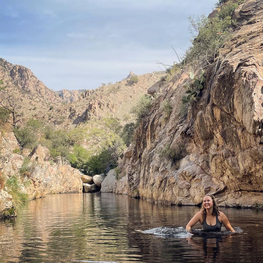 Tucson Guide tweet media