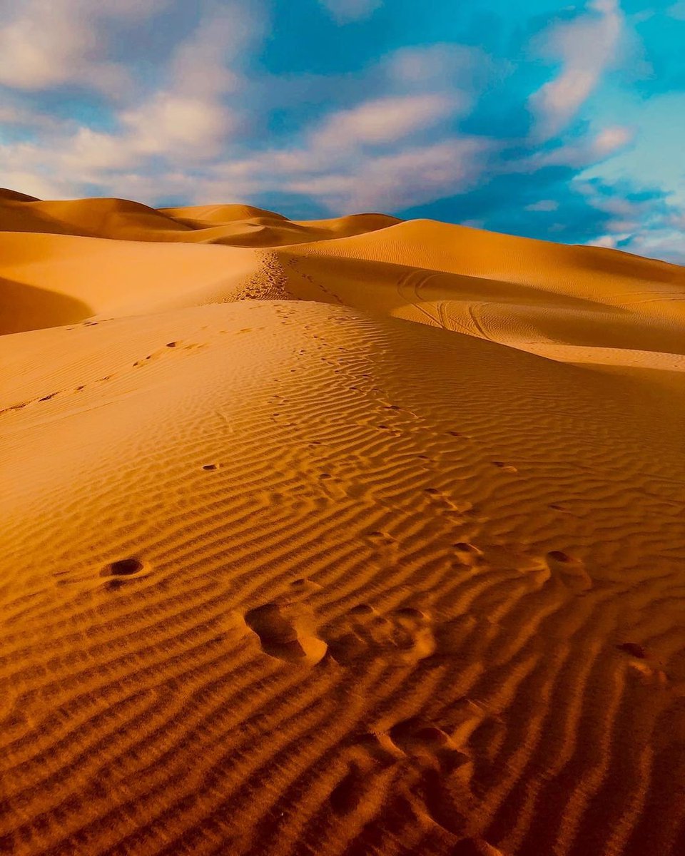 VisitYumaAZ's tweet photo. “The desert is a natural extension of the inner silence of the body.”
- Jean Baudrillard
#VisitYuma #YumaAZ #DesertLife #NationalWellnessMonth #Dunes #Sanddunes #ImperialSandDunes #VisitArizona #YumanNature #Desert
📷 by @wanderersandmates https://t.co/skoDOhTQCN