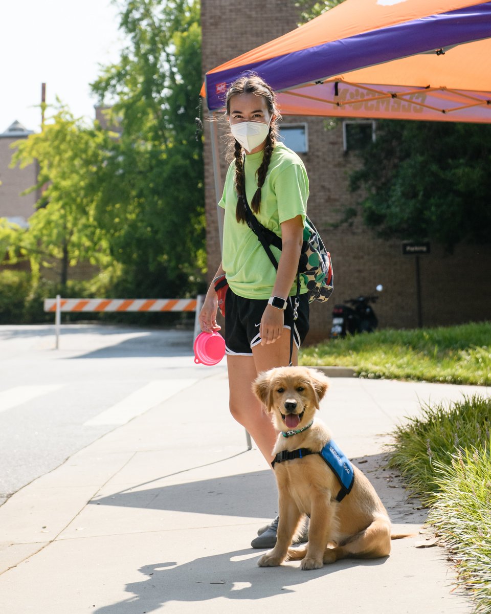 ClemsonUniv's tweet photo. Our move-in welcome committee >>> Your move-in welcome committee https://t.co/rFoR71FcQ6