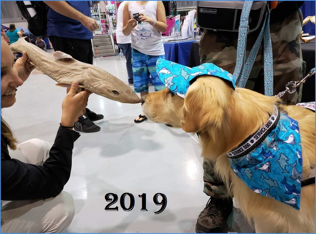 Kobalt_IST_Gold's tweet photo. At #SharkCon sharing a Kodak moment w/Sam Teehan, Education Specialist w/ @FYCCN2 . And, yup, she still knows how to introduce a #dogfish to a dogshark. It was really nice to see you again!
@MyFWC #fyccn #shark #oceanconservation #sharkconservation #foodallergies #dogsoftwitter https://t.co/ejLYHaVMRH