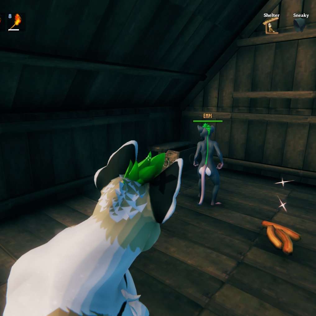 NEW RAT IN TOWN OMG SHE SO PWETTY!! IF I GIVE HER WURST MAYBE SHE WANNA BE FRENN?