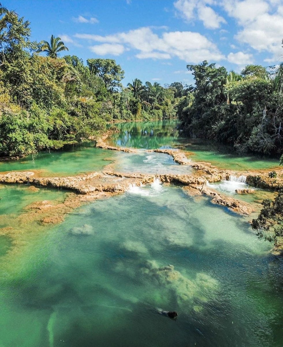 NuestroDiario's tweet photo. 🇬🇹 Pozas en Machaquilá, Poptún, Petén. 😍🍃 ¡Belleza! 
.
.
.
📷 @erickmarca #postal #pozas #machaquila #poptun #peten #guatemala #explorandoguate #nuestrapostal https://t.co/JlTMAWA9Yd