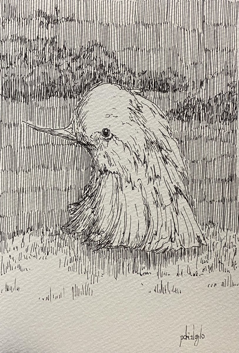 鳥っぽいひと 