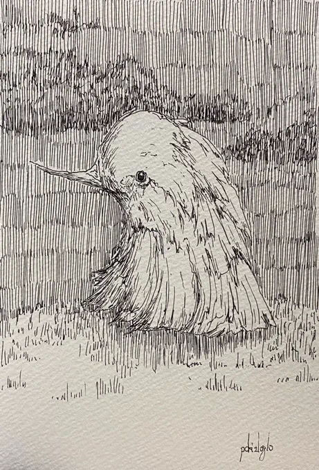 鳥っぽいひと 