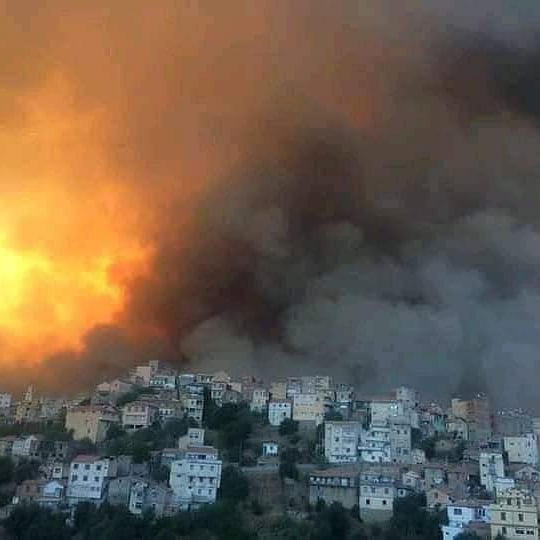 🔴#Algerie🇩🇿: Au moins 42 personnes, dont 17 civils et 25 militaires, ont perdu la vie dans les incendies qui ravagent le nord de l’Algérie, , les autorités, évoquant des feux « d’origine criminelle » attisés par un épisode de canicule.

Qu’Allah vienne en aide à nos frères🇩🇿....