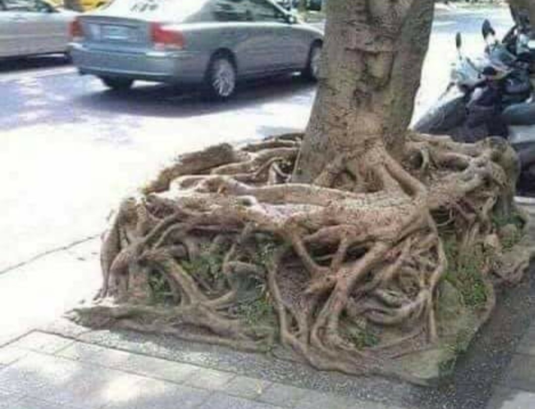 Shadowhunter tweet media