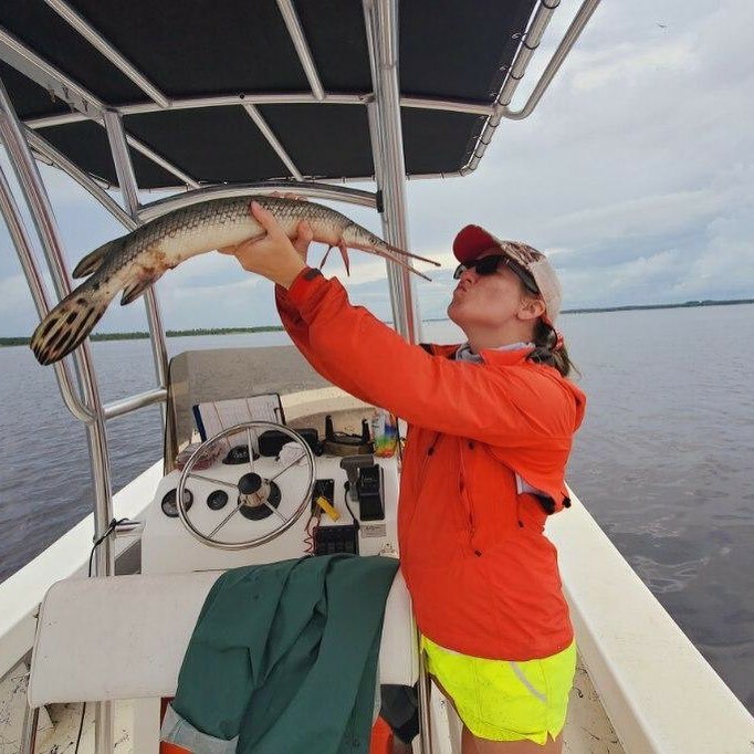 Have you kissed a dinosaur today? 
The longnose gar, shown here, have existed in the coastal waters of North America for the last 100 million years or during the Cretaceous period. Gar are known for their armor like scales but did you know that these fis… instagr.am/p/CSa0DkPsUR9/
