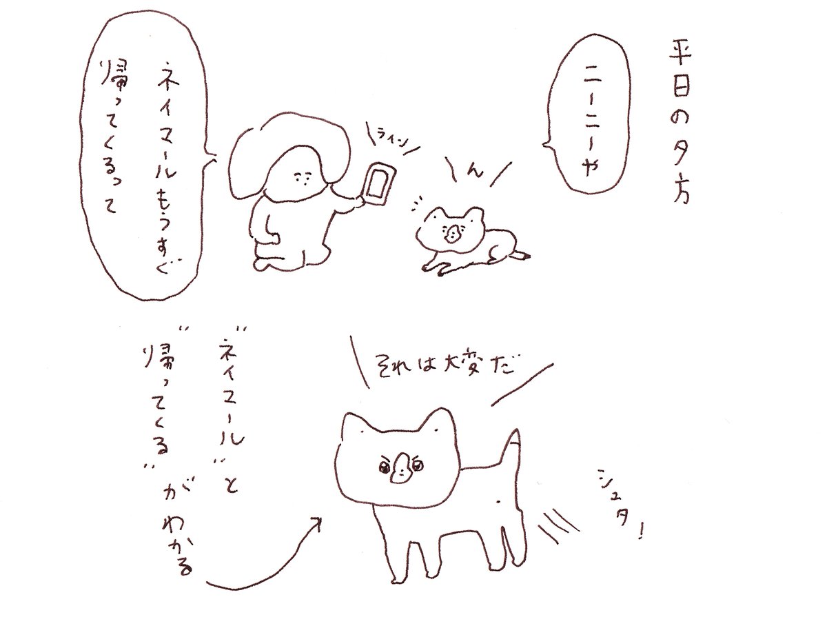 1日1回ボケて笑わせようとしてくるinu 