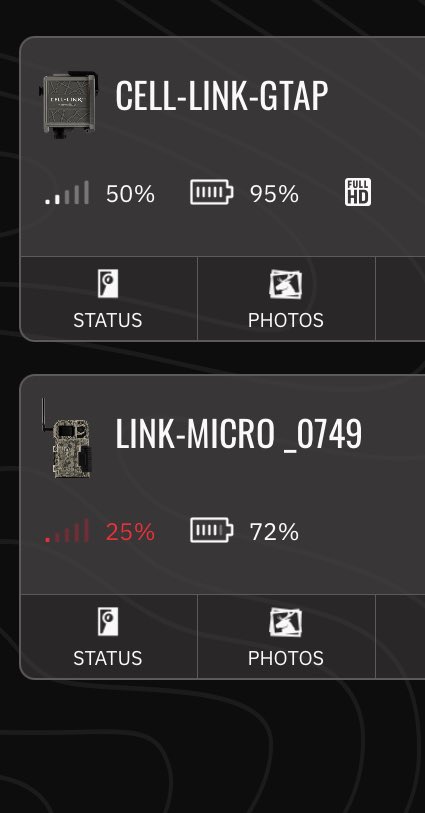 Tess Smith tweet media