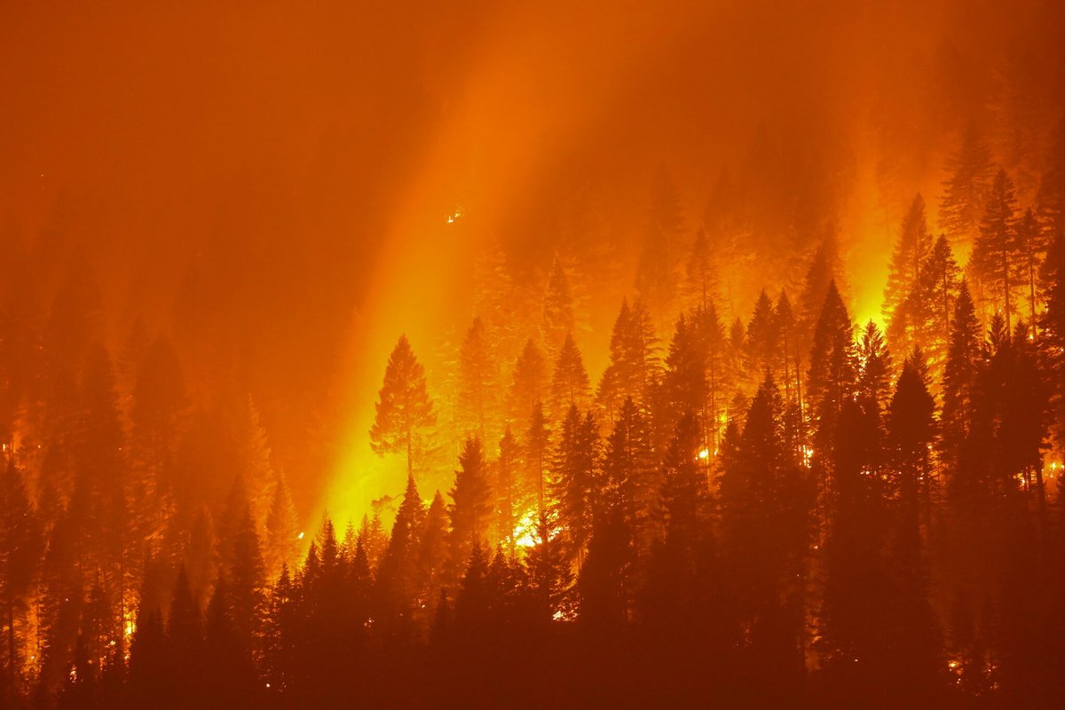 CaraSantaMaria's tweet photo. New IPCC climate report warns a hotter future is certain. But HOW hot is up to us.🌡

#ClimateReport #RecordTemps #ClimateChange #ClimateCrisis #IPCC #HumanEffects 

https://t.co/W2PcxyJYnb @nytimes https://t.co/RPIvdASg0z
