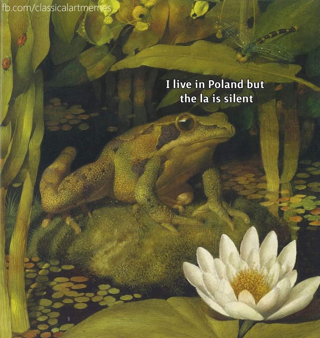 WholesomeMemes (@wholesomememe) on Twitter photo 