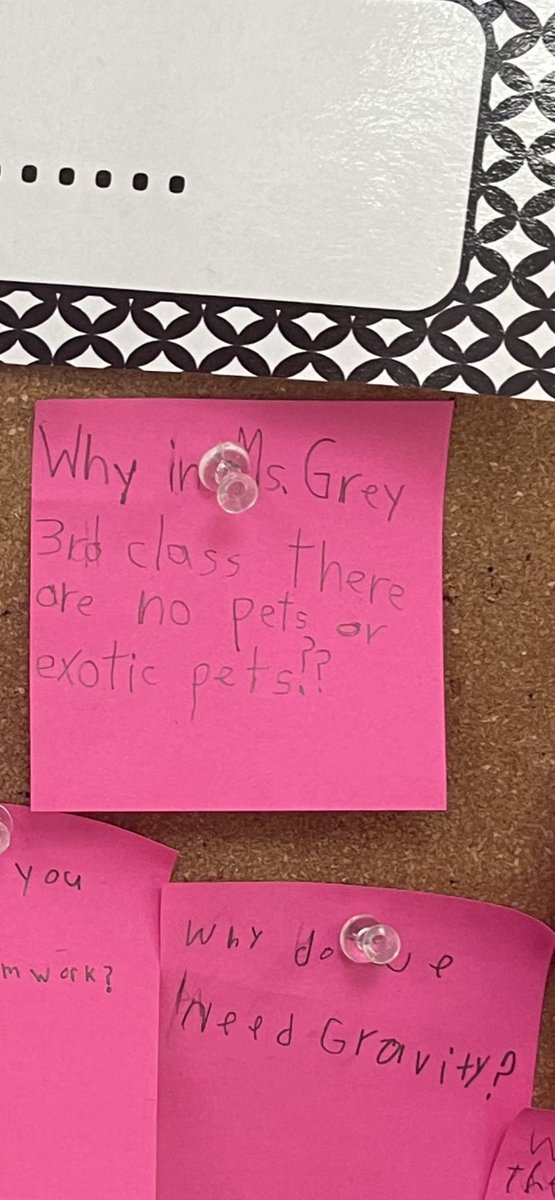 We started using our wonder wall today with what we are wondering about 3rd grade! I think they want a class pet! 😬🤪 <a href="/soldopyp/">Stephanie Soldo</a>