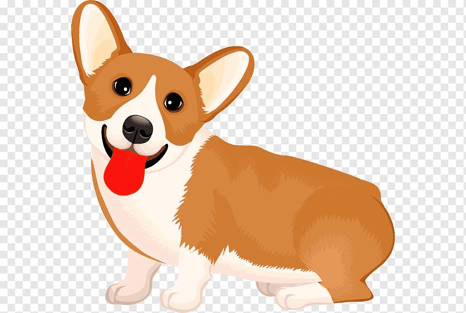 cherryOnTech's tweet photo. Making alt text more fun: “A cute corgi smiles at you with love and adoration.” https://t.co/KDkgXrv7ku
