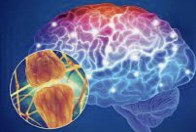ecalixto's tweet photo. Al final
lo visto,
lo soñado
lo reído,
lo sufrido 
e imaginado 
son igualmente reales…
exististe en cada neurona
que tu conectaste
desde la primera sonrisa.

#NeuroTuit https://t.co/BYNRkcgSzc