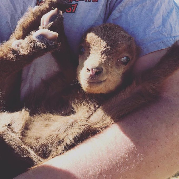 @yamimichi She&rsquo;s such a sweetheart! https://t.co/JadbFhrwsn<a class="tags" target="_blank" title="On Twitter" href="/?out=eyJ0eXAiOiJKV1QiLCJhbGciOiJIUzUxMiJ9.eyJpYXQiOjE3MjYxNzMxODIsImlzcyI6InR3cG9ybnN0YXJzLmNvbSIsIm5iZiI6MTcyNjE3MzE4MiwiZXhwIjoxNzU3NzA5MTgyLCJyZWRpcmVjdF91cmwiOiJodHRwczovL3R3aXR0ZXIuY29tL3lhbWltaWNoaSJ9.BYRcB_P6jOYOOksIPJ-oGJan9wr5Mc5PopgEuR6WcAkX1rKxsHimx2PuWfb7ideRrRSImZhBxt7Jl64RvSsb6Q">@yamimichi</a><a href="/tag/vegasproblems"class="tags"><span>#vegasproblems</span></a>