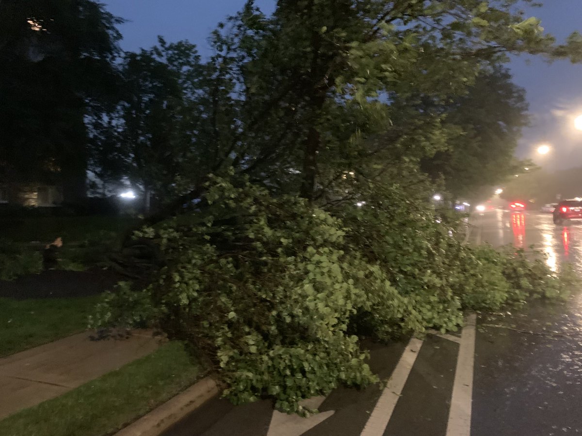 BuckeyeTSTM's tweet photo. Medium/larger tree down and blocking part of road on Kedzie just south of Touhy. Estimated 60-70 miles per hours winds in the past half hour.  @NWSChicago #ILwx https://t.co/TZGnh0s813