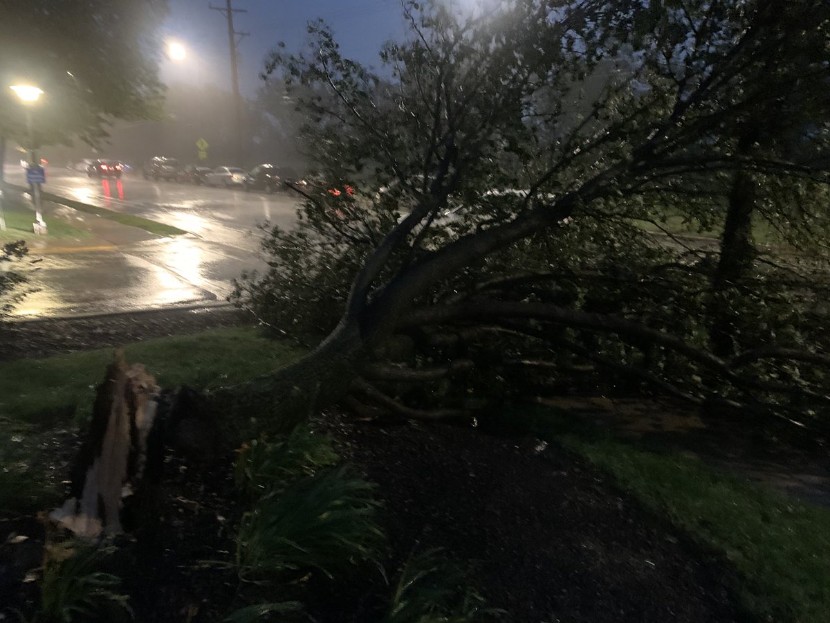 BuckeyeTSTM's tweet photo. Medium/larger tree down and blocking part of road on Kedzie just south of Touhy. Estimated 60-70 miles per hours winds in the past half hour.  @NWSChicago #ILwx https://t.co/TZGnh0s813