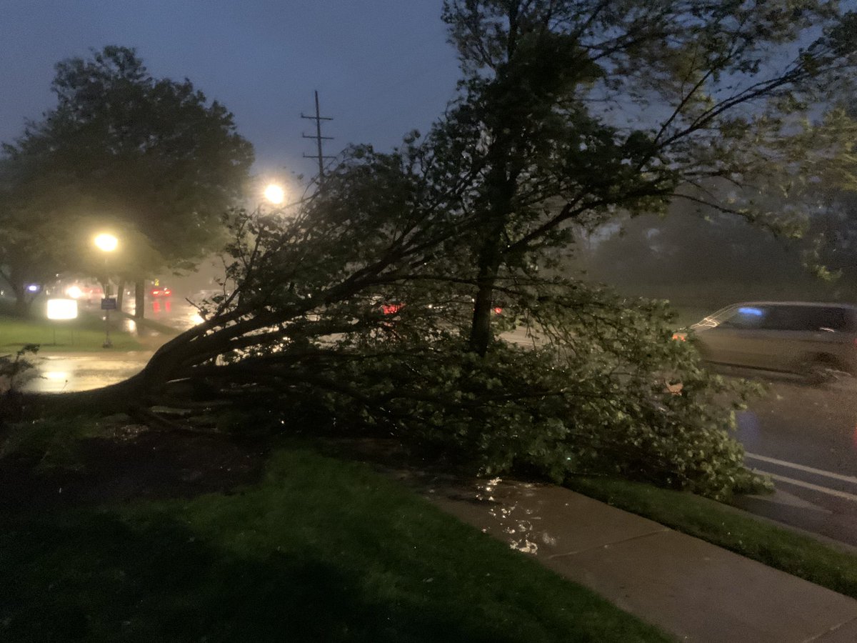 BuckeyeTSTM's tweet photo. Medium/larger tree down and blocking part of road on Kedzie just south of Touhy. Estimated 60-70 miles per hours winds in the past half hour.  @NWSChicago #ILwx https://t.co/TZGnh0s813