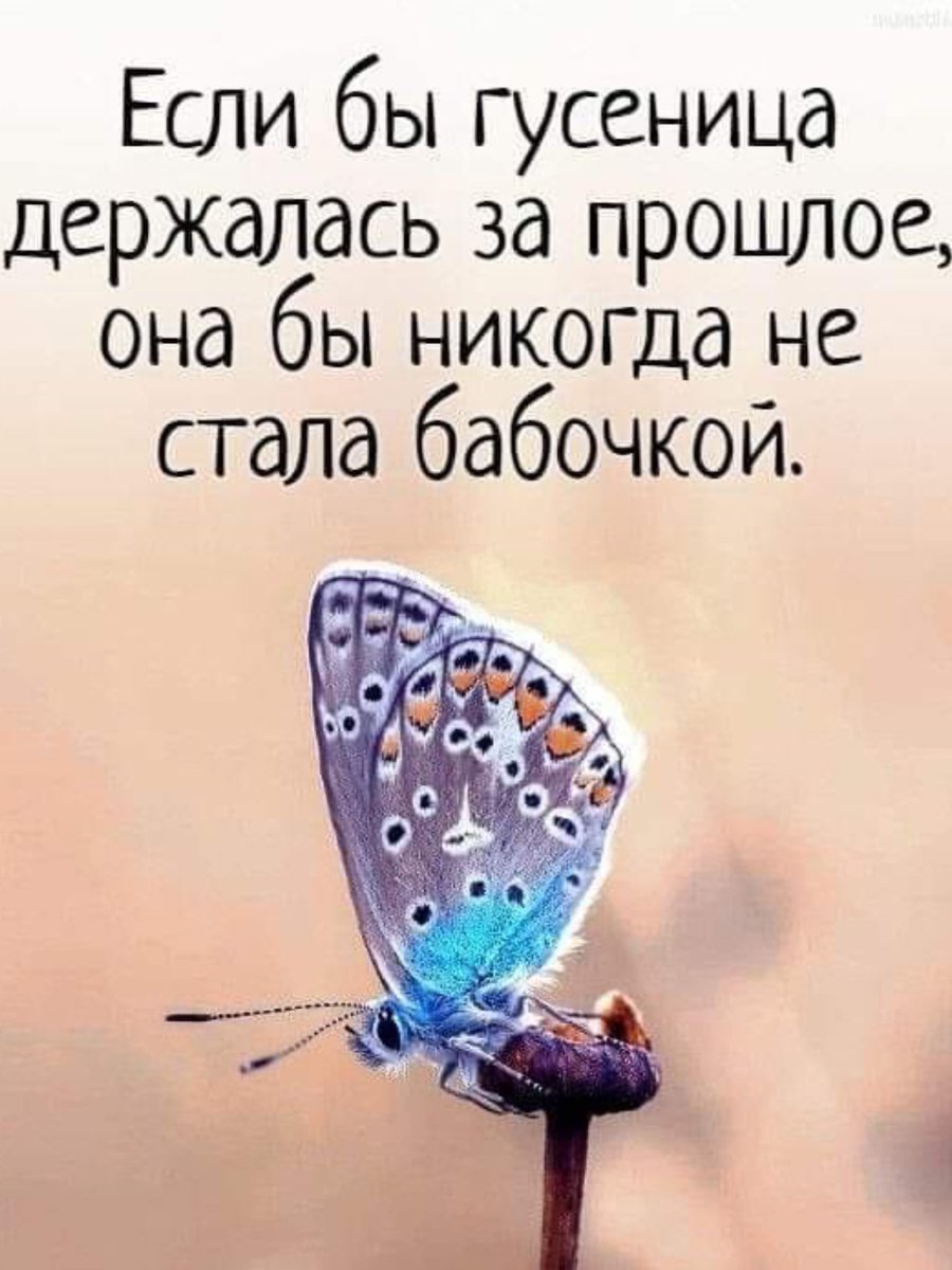 irenalf's tweet photo. Современный мир – быстрый, противоречивый, не дающий ни на что ответов, меняющийся ежесекундно. Такая подвижность мира пугает, замыкает в себе, парализует. Устоять в этом мире можно, лишь сохраняя постоянное движение.

Это значит, что вместе с миром должны двигаться и мы. https://t.co/kcp9GiD2NK