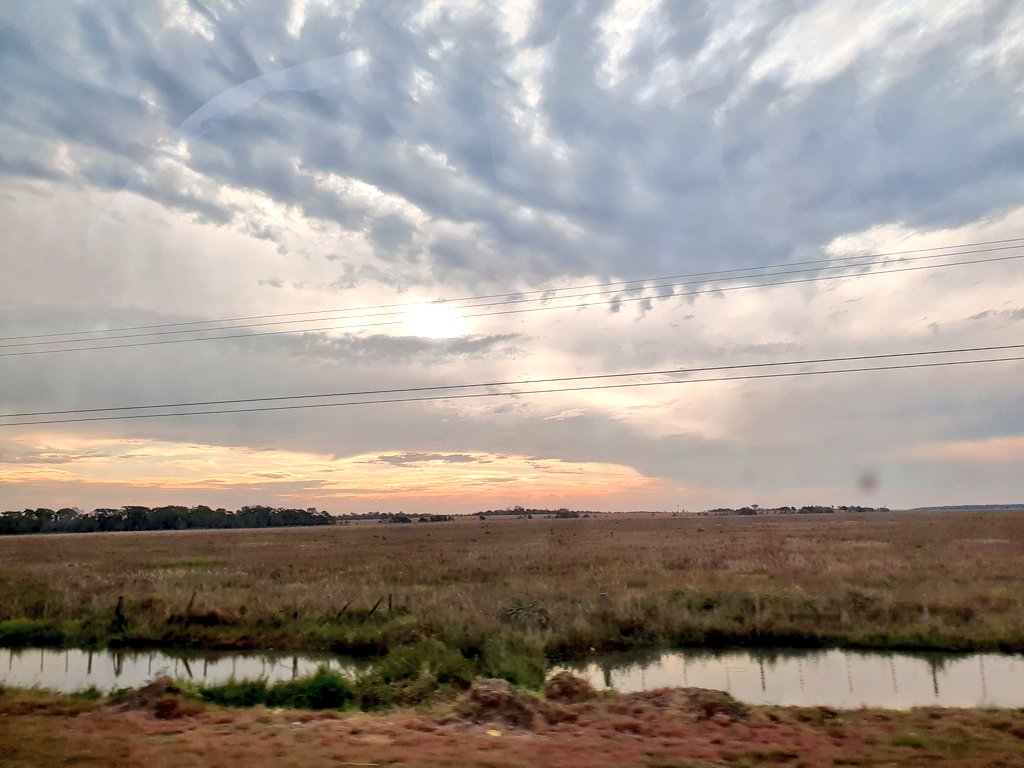 gloriatorras's tweet photo. El clima está seco, pero la primavera fuerza su llegada.
#AraVerá #tranqueras #ranchoverde #Huellas #Paraguay #Capiivary #SanPedro https://t.co/Hbb1m6Hh0M