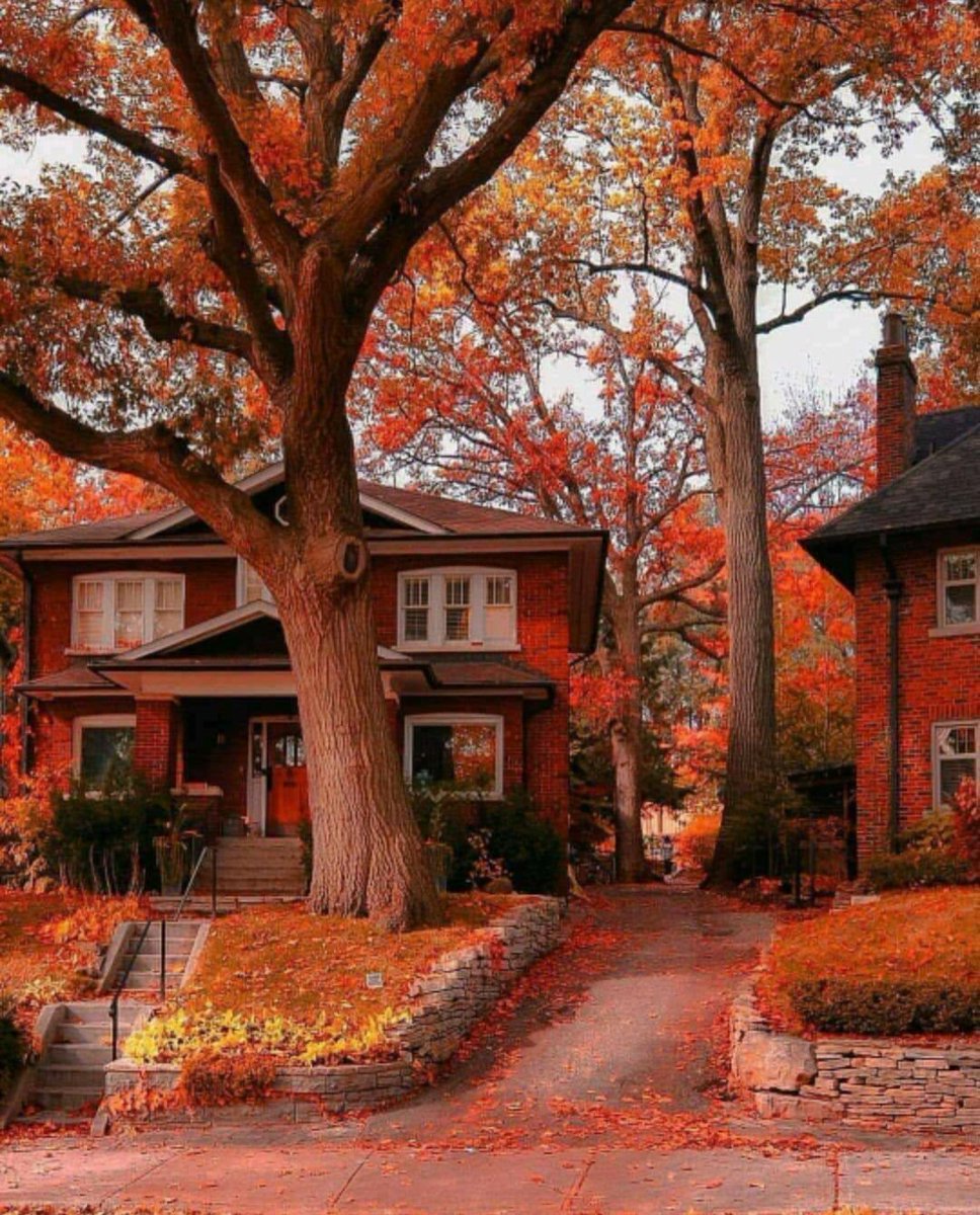 nique_smoov's tweet photo. Her name is Autumn 🍂🍁 https://t.co/sQGOVUu2dg