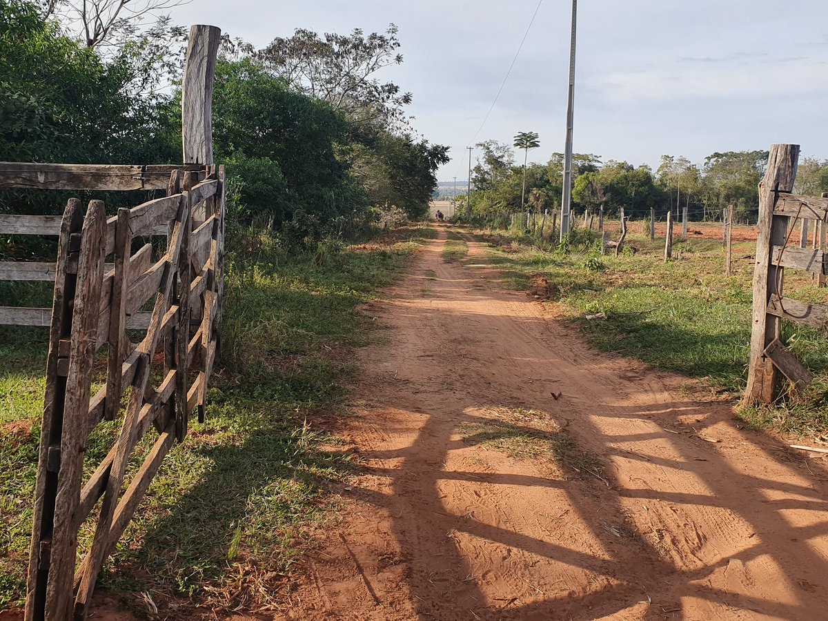 gloriatorras's tweet photo. #Araverá
#Capiivary
#Tranquera #Gallo #Yvyrapyta
Sombras de la mañana https://t.co/17rZuNYqu7