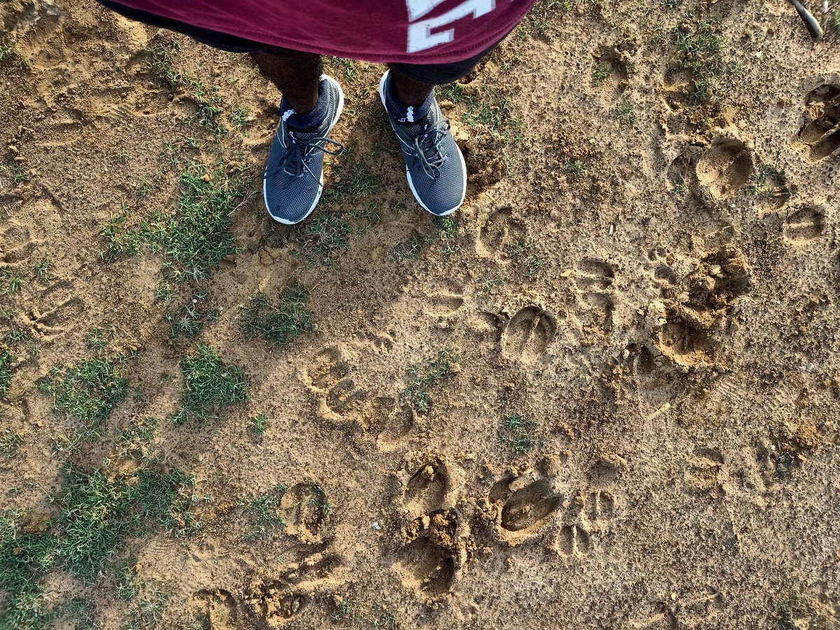 _java_Speaks's tweet image. Day 4..., 
#Sweatout