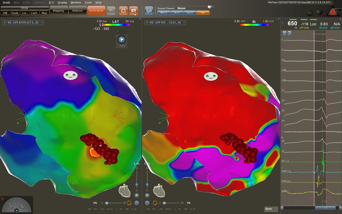 Anibal Pires Borges tweet media