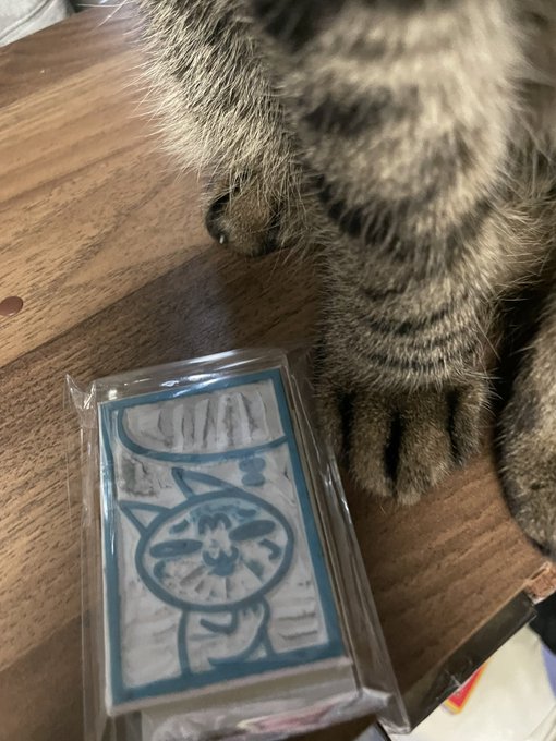 お友達のシズちゃんからかめよしくんスタンプもらった!手作りなんけど!可愛い!!!めっちゃうれしい!ありがとう〜〜 