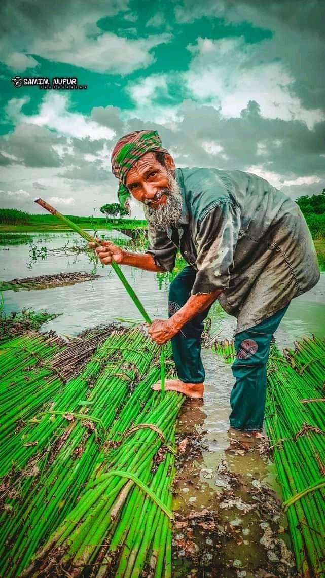 hhmandal's tweet photo. বাবার পেশায় লজ্জিত হয়ো না।।।। https://t.co/jXZn9LlAVr