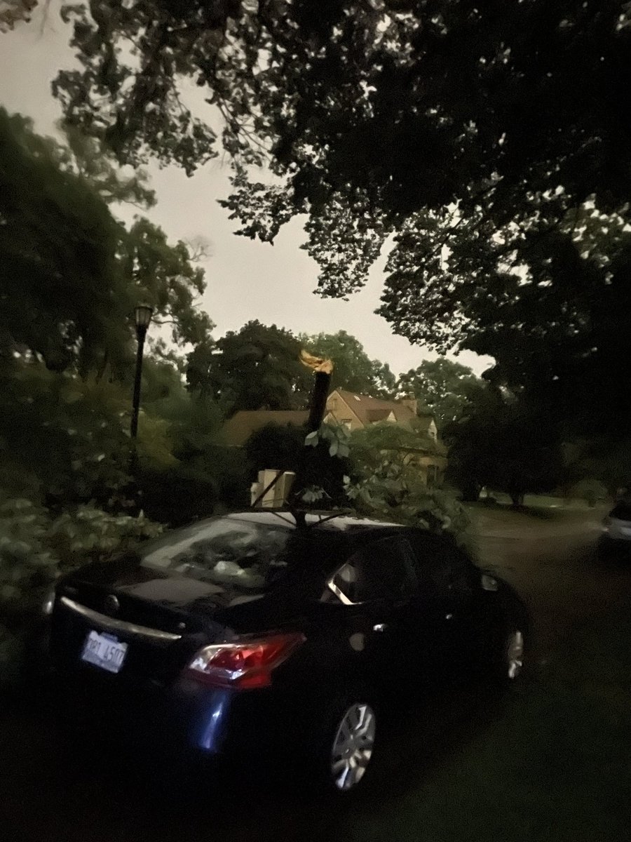 DanielNortz's tweet photo. @NWSChicago In Evanston at Harrison and Prospect. Two separate branches from separate trees. Both came down sometime between 7:30 and 7:50 https://t.co/Q1AKfSxJyF