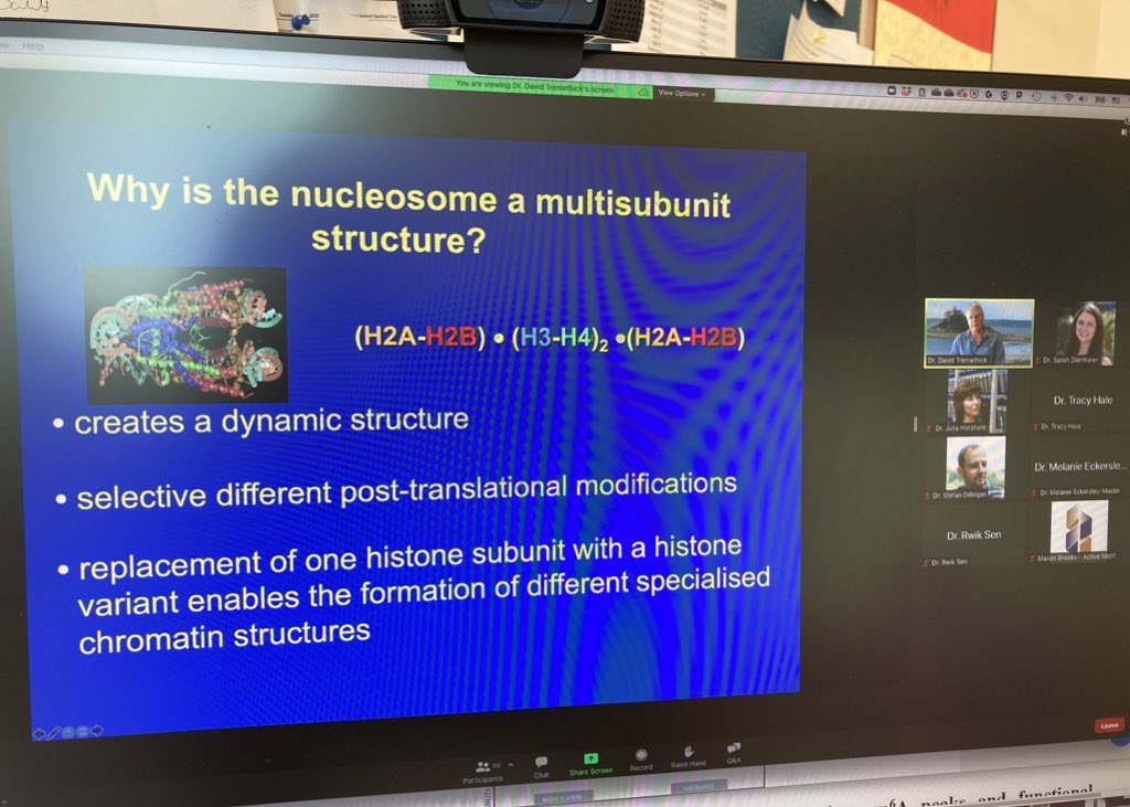 oncogenie's tweet photo. Next up: Prof David Tremethick from ANU, talking about histone variants!

@activemotif #CCDU https://t.co/e7QmoOhz9g