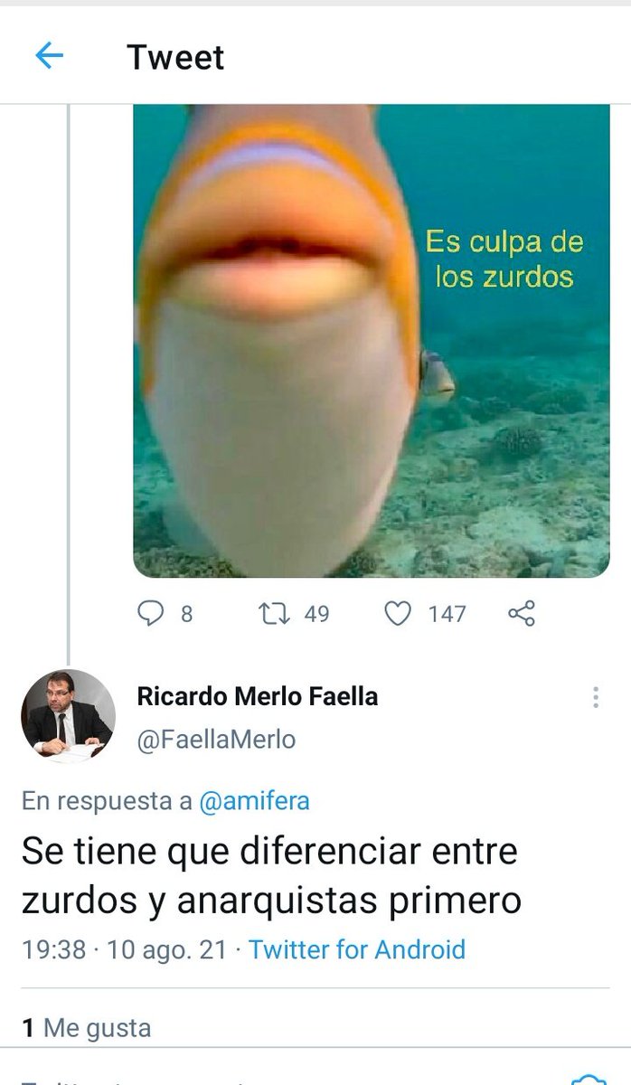 diecorreal's tweet photo. Éstos son los Fiscales de DDHH en Paraguay, que representan a la sociedad y deberían demostrar imparcialidad política, respeto a la libertad ideológica y honorabilidad. Pero que espero si Sandra Quiñonez le nombró al Fiscal Adjunto https://t.co/KLrPX4W55x