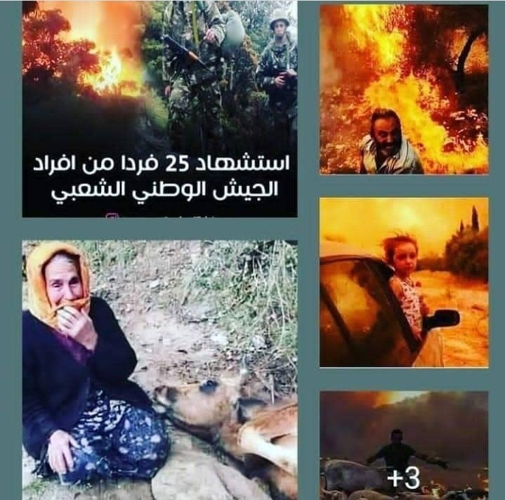 aalisha_ikram's tweet photo. Algeria is burning 🔥 💔🥺
اللهم بردا وسلاما على وطني https://t.co/fjpl8htHJ9